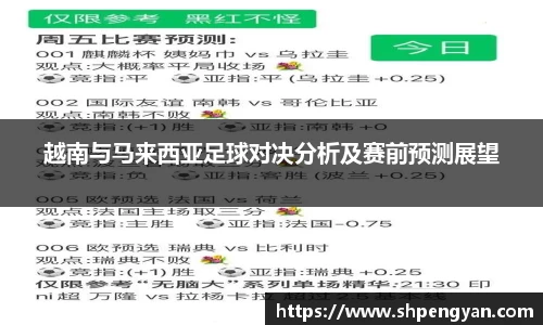 越南与马来西亚足球对决分析及赛前预测展望