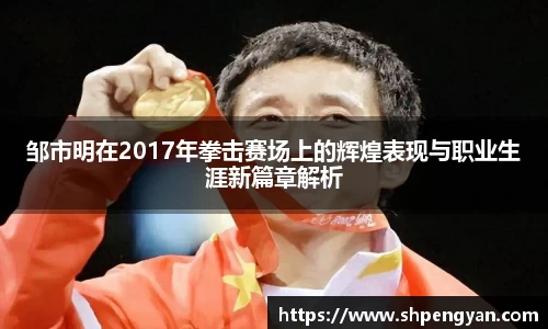 邹市明在2017年拳击赛场上的辉煌表现与职业生涯新篇章解析