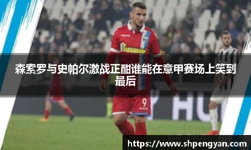 VSport胜利因您更精彩