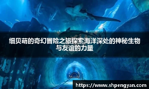 细贝萌的奇幻冒险之旅探索海洋深处的神秘生物与友谊的力量