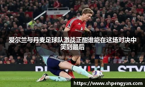 爱尔兰与丹麦足球队激战正酣谁能在这场对决中笑到最后